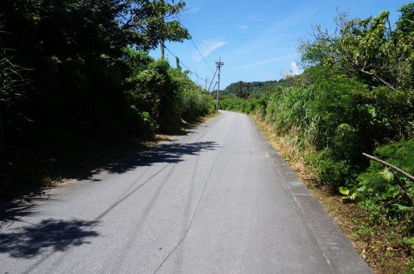 DSC01106